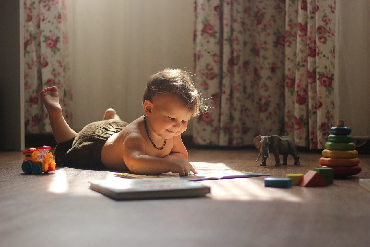 baby, read, play, reading, playing, toys, baby toys, toddler, infant, book, story book, portrait, baby portrait, baby boy, boy, kid, childhood, baby, baby, baby, baby, baby, reading, toys, book